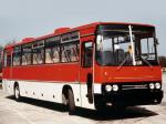 Ikarus 250.59 1984 года
